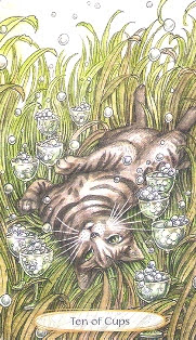 Soul Cats Tarot