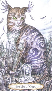 Soul Cats Tarot