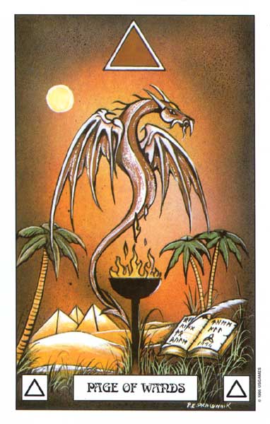 Dragon Tarot by Terry Donaldson & Peter Pracownik