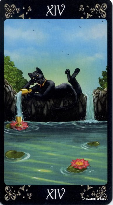 Black Cats Tarot