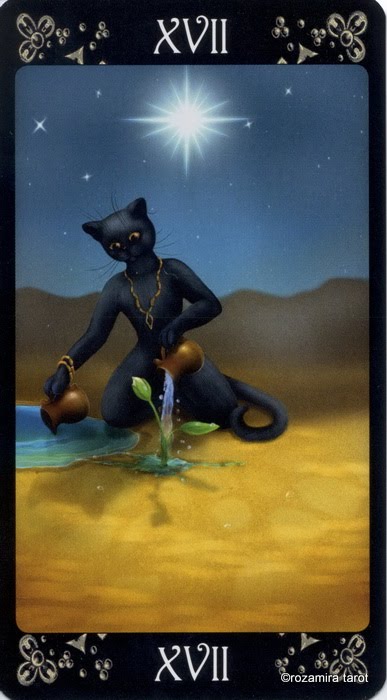 Black Cats Tarot