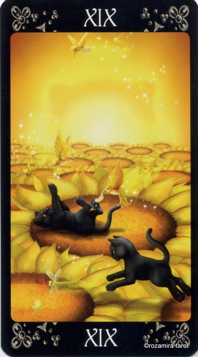 Black Cats Tarot