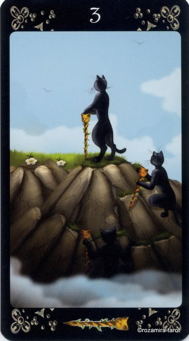 Black Cats Tarot