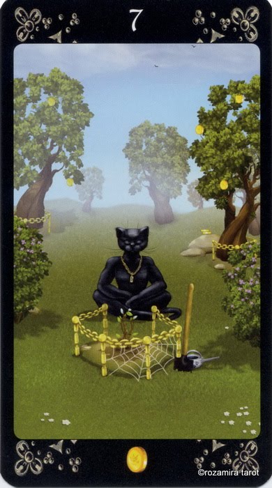 Black Cats Tarot