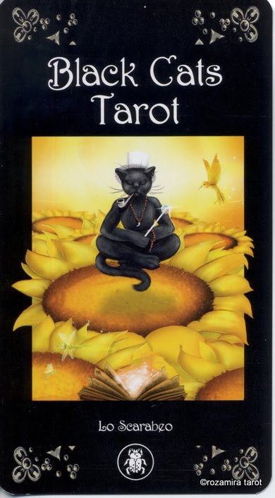 Black Cats Tarot