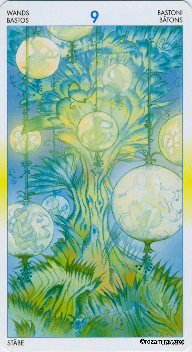 Tarot of Metamorphosis