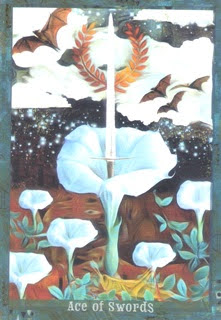 The Guardian of the Night Tarot