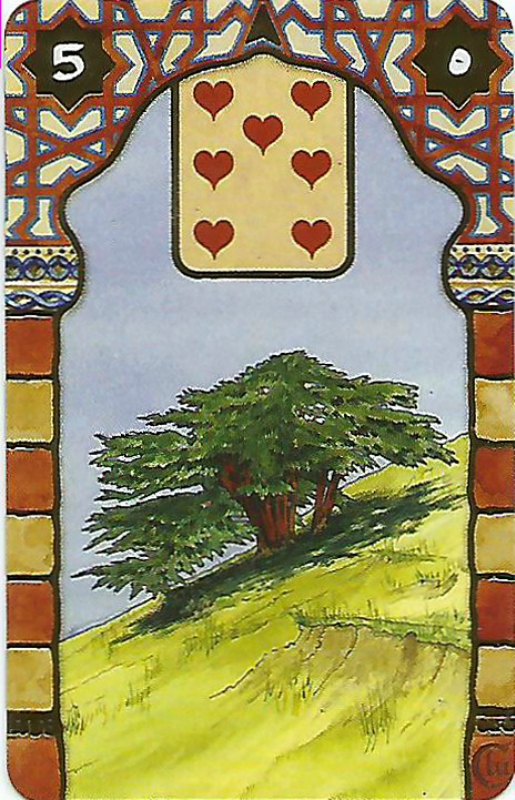 Rana George Lenormand