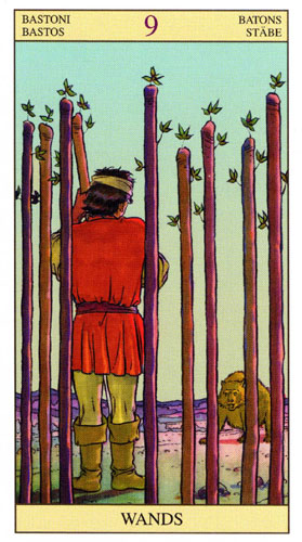 Tarot of the New Vision