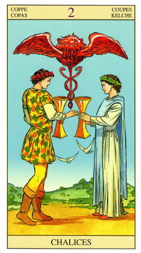 Tarot of the New Vision