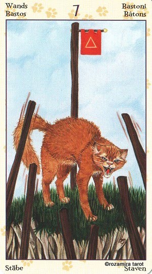 Tarot of Pagan Cats