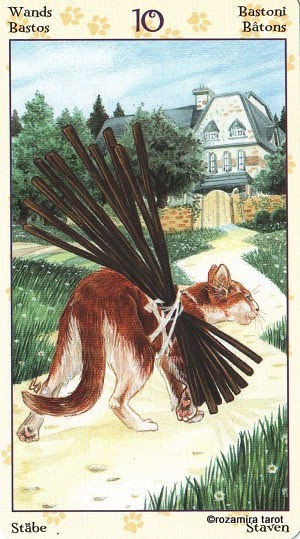 Tarot of Pagan Cats