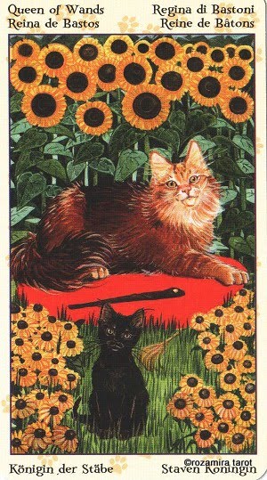 Tarot of Pagan Cats