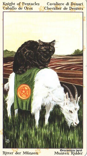 Tarot of Pagan Cats