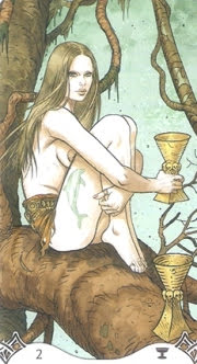 Erotic Fantasy Tarot