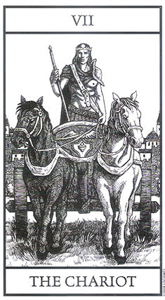 Bianco Nero Tarot