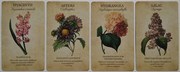 Botanical Inspirations Deck & Book Set