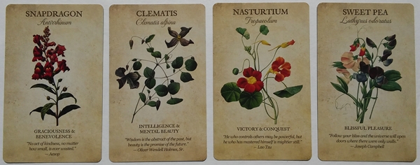 Botanical Inspirations Deck & Book Set