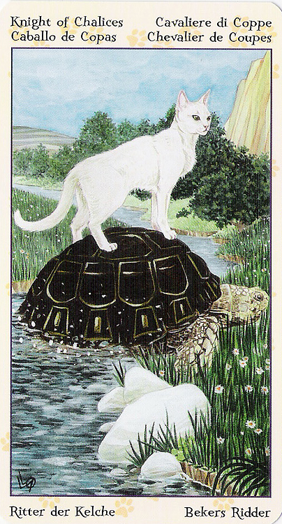 Tarot of Pagan Cats