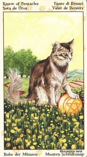 Tarot of Pagan Cats