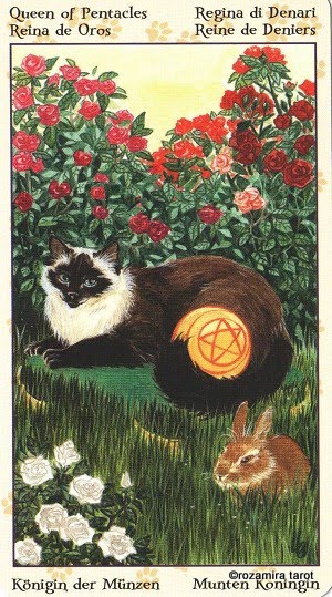 Tarot of Pagan Cats