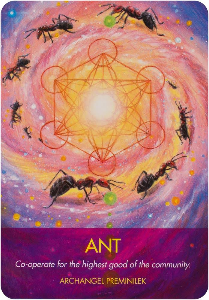 Archangel Animal Oracle