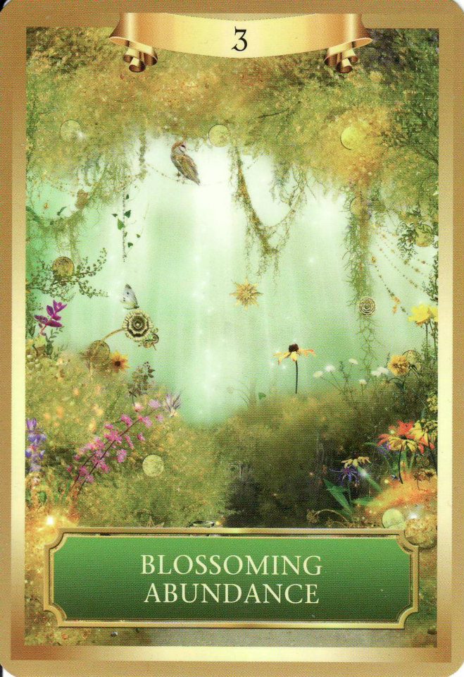 Energy Oracle Cards by Sandra Anne Taylor