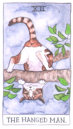 Cat Tarot (Megan Lynn Kott)