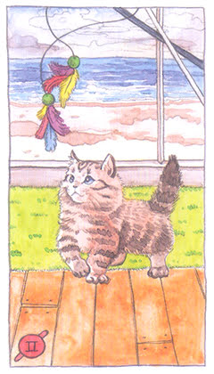 Cat Tarot (Megan Lynn Kott)