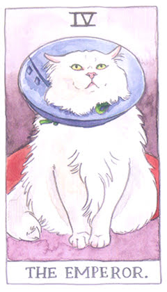 Cat Tarot (Megan Lynn Kott)