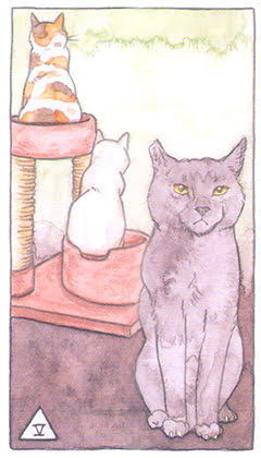 Cat Tarot (Megan Lynn Kott)