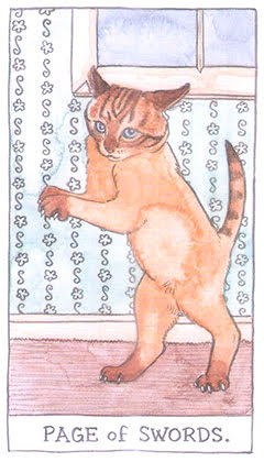 Cat Tarot (Megan Lynn Kott)