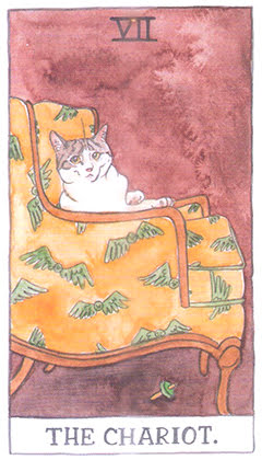 Cat Tarot (Megan Lynn Kott)