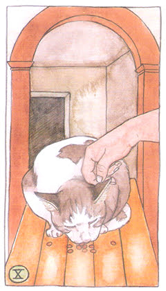 Cat Tarot (Megan Lynn Kott)