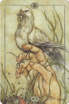 Hush Tarot