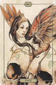 Hush Tarot