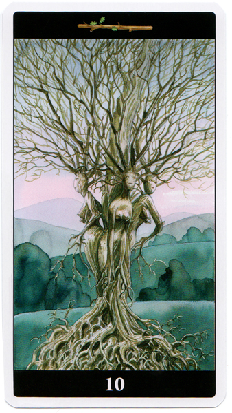 Tarot of the Dream Enchantress