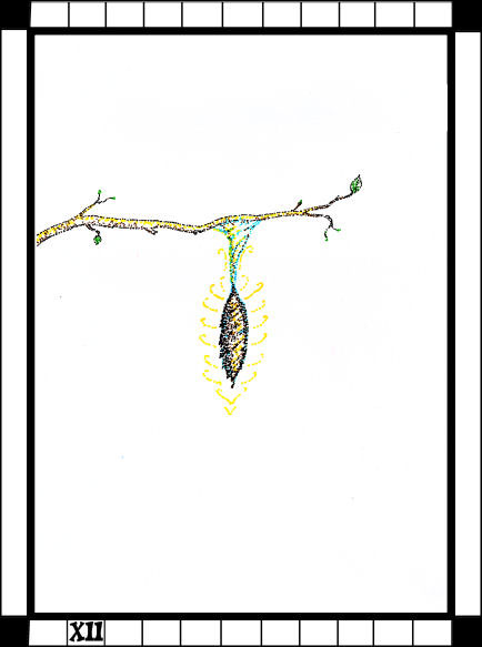 Transparent Tarot Emily Carding