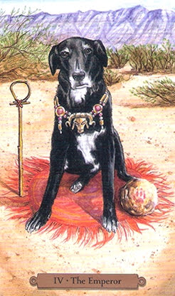 Magical Dogs Tarot - Таро Волшебных Собак