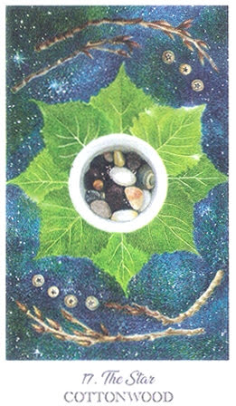 The Herbcrafter’s Tarot