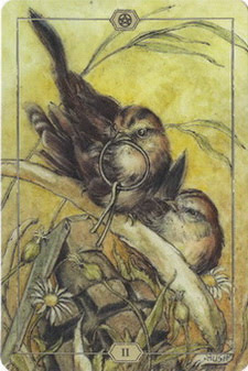 Hush Tarot