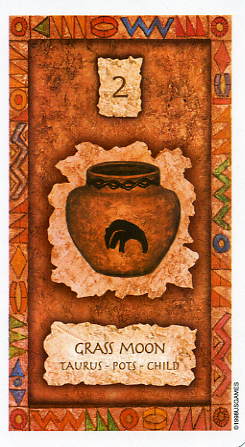 Shaman Wisdom Cards