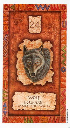 Shaman Wisdom Cards