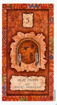 Shaman Wisdom Cards