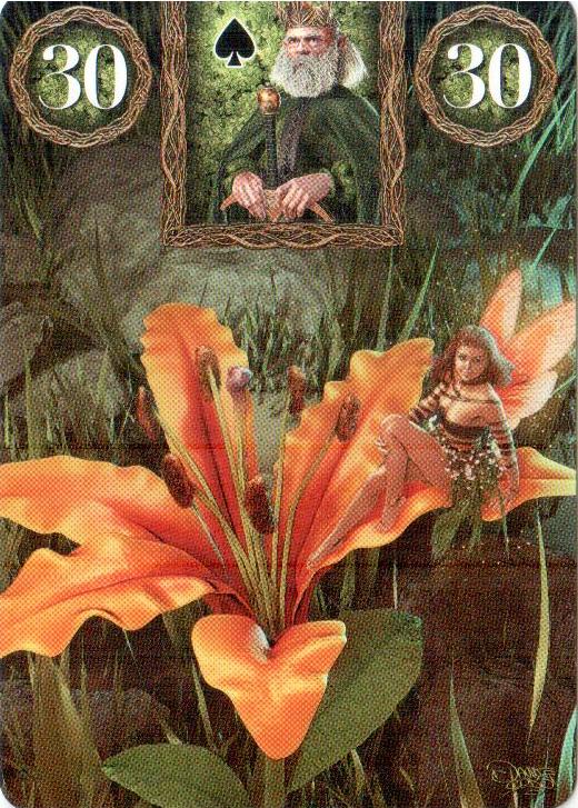 Fairy Lenormand Oracle (Marcus Katz, Tali Goodwin, Davide Corsi)