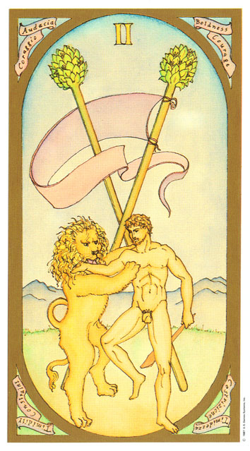 Renaissance Tarot Classical by Brian Williams