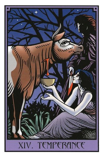 The Vampire Tarot by Robert M. Place