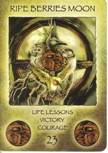 Spirit Of The Wheel Meditation Deck