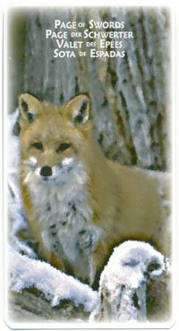 Power Animal Tarot