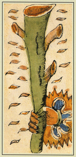 Ancient Tarot of Bologna